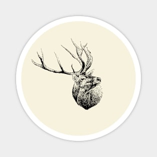 Red deer portrait Magnet